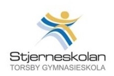 gallery/stjerneskolan